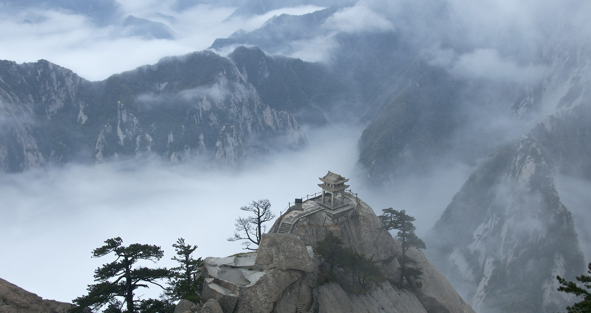 DDOS网页端